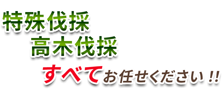 特殊伐採・高木伐採 すべてお任せください!!